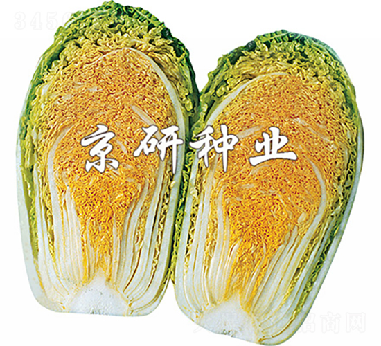 �����ۼt��-�ײ˷N��-���зN�I(y��)