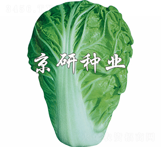 ����1̖(h��o)-�ײ˷N��-���зN�I(y��)