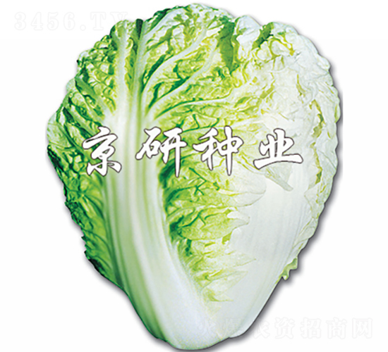 ������-�ײ˷N��-���зN�I(y��)