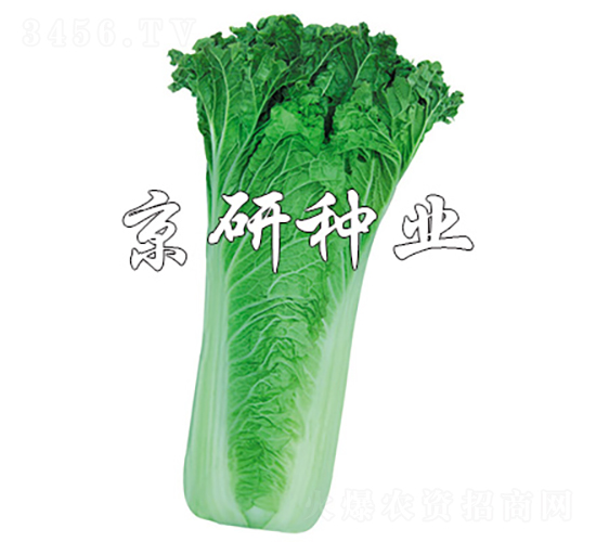 ����14-20-�ײ˷N��-���зN�I(y��)