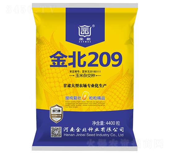 金北209-玉米雜交種子-金北種業(yè)