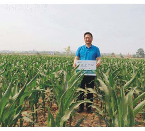 ����788-���׷N��-���S�N�I(y��)