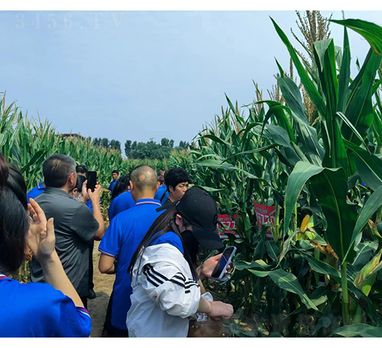 ����777�^Ħ-�͹��S