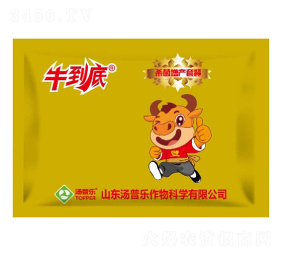 �������a(ch��n)�ײ�-ţ����-���՘�(l��)