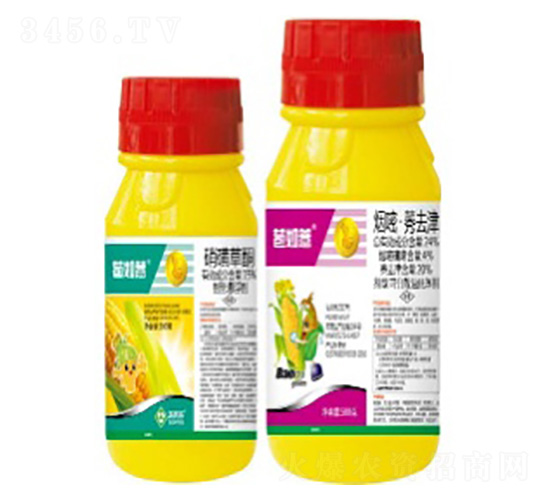 ����޲-���՘�