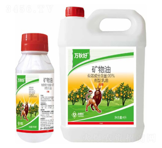 �V��������-�f���-���՘�