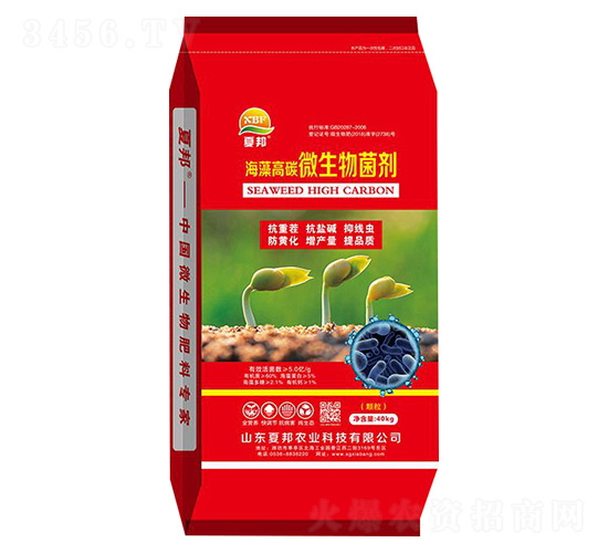 �����̼΢�������-�İ��r�I(y��)