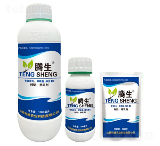 ����֬���S����E-�v��-�õ���