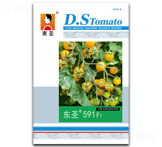 東圣591F1-番茄種子-東圣