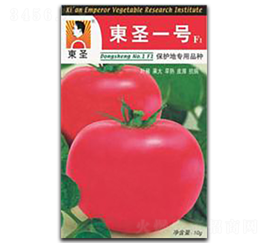 東圣一號(hào)-番茄種子-東圣
