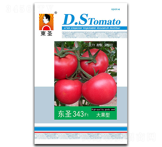 東圣343-番茄種子-東圣