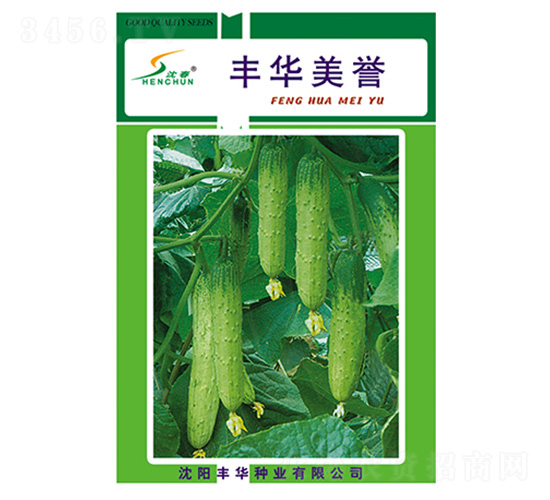 豐華美譽-黃瓜種子-豐華種業(yè)