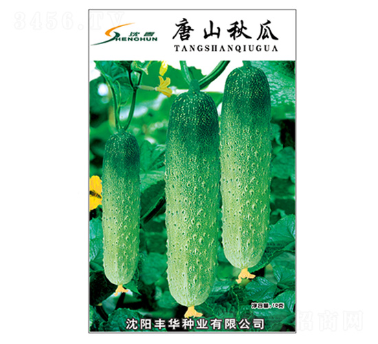 ��ɽ���-�S�ϷN��-�S�A�N�I(y��)