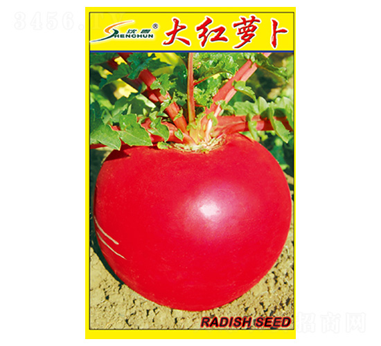 ��t�}��-�}���N��-�S�A�N�I(y��)