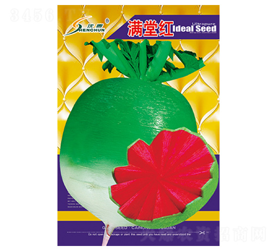 �M�üt-�}���N��-�S�A�N�I(y��)