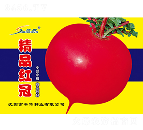 精品紅冠-蘿卜種子-豐華種業(yè)