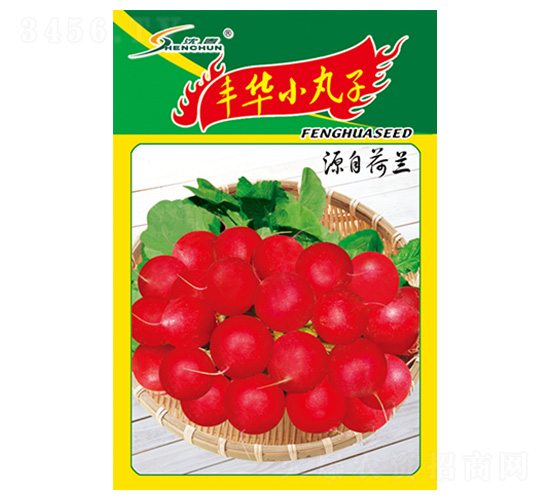 �S�AС����-�}���N��-�S�A�N�I(y��)