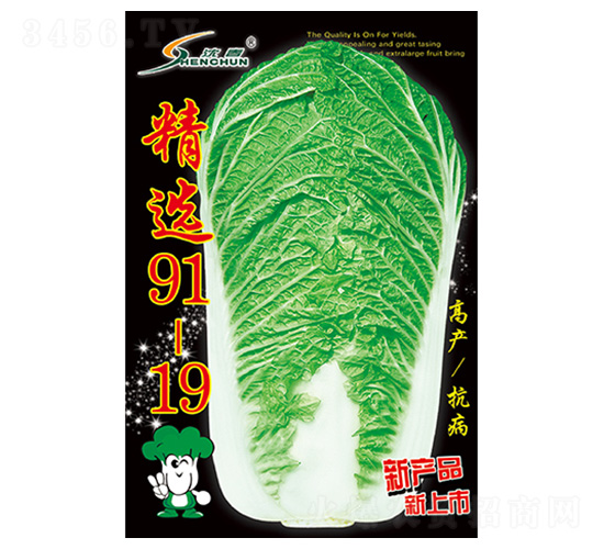 精選91-19-白菜種子-豐華種業(yè)