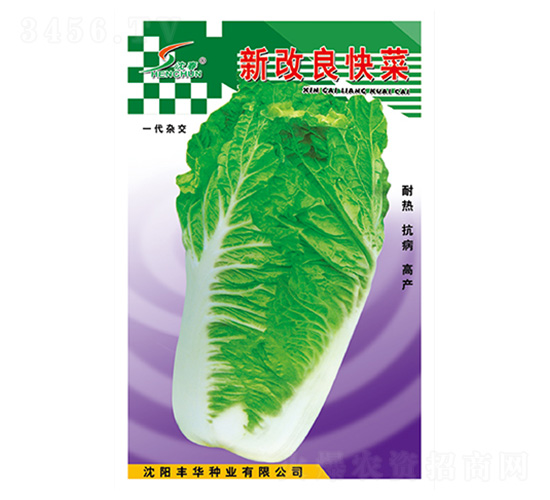 新改良快菜-白菜種子-豐華種業(yè)