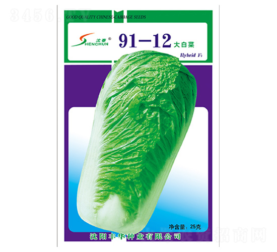 91-12大白菜-白菜種子-豐華種業(yè)