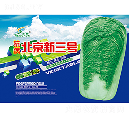 抗病北京新三號-白菜種子-豐華種業(yè)