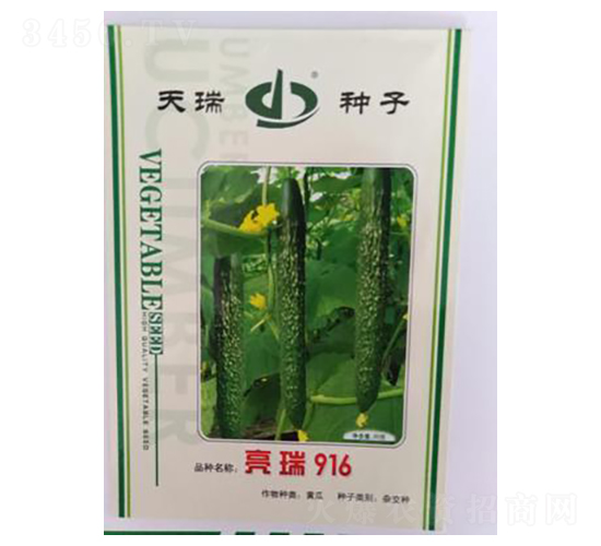 亮瑞916-黃瓜種子-天瑞種子