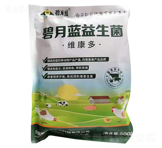 �����{(l��n)������-�����{(l��n)����