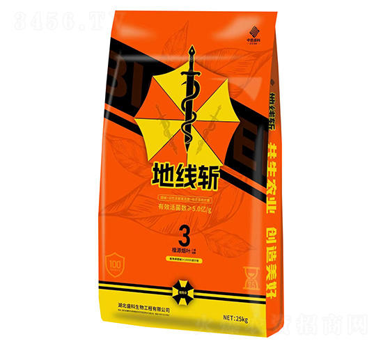 �ؾ���-�в�ʢ��-ʢ������