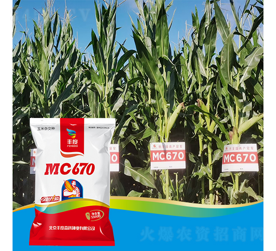 MC670-���׷N��-�S�ȸ߿�