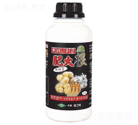 �ʴ��-�۸���