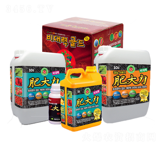 �ʴ���-�۸���