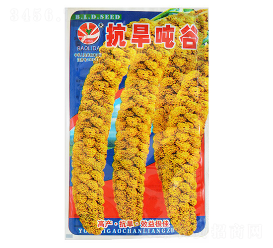 ��������-���ӷN��