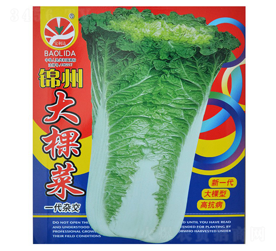 錦州大棵菜-秋菜種子