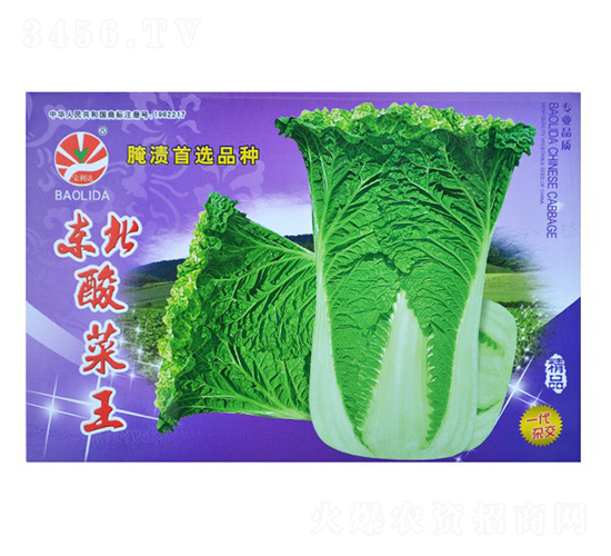 �|���������һ���s����-��˷N��