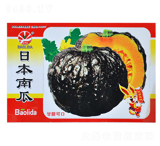 �ձ��Ϲ�-�ϹϷN��