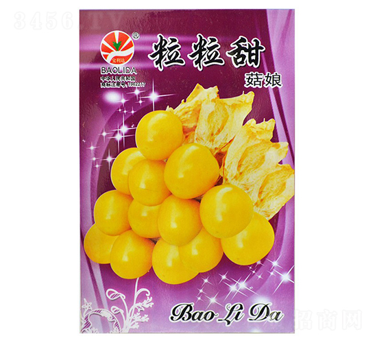 粒粒甜菇娘-菇娘種子