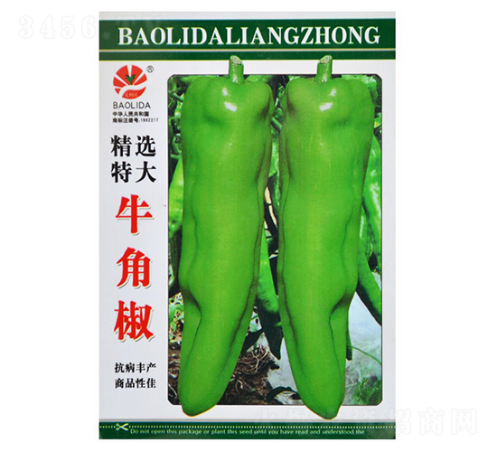 ţ�ǽ�-�����N��