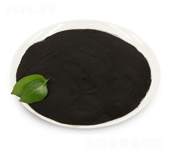 ��ֲ��ԭ��-���B��