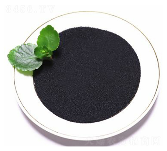 �S����⛢���-���B��