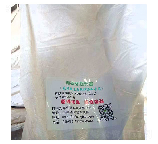 ����ѿ�ߗU��-�Ű�����