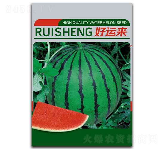 ���\(y��n)��-���ϷN��-����