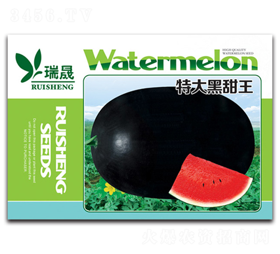 特大黑甜王-西瓜種子-瑞晟
