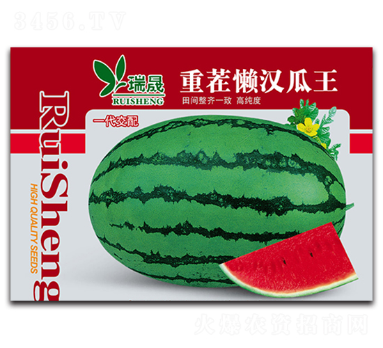 重茬懶漢瓜王-西瓜種子-瑞晟
