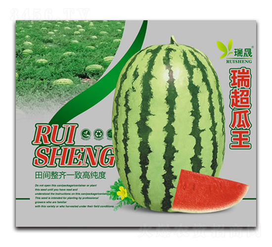 瑞超瓜王-西瓜種子-瑞晟