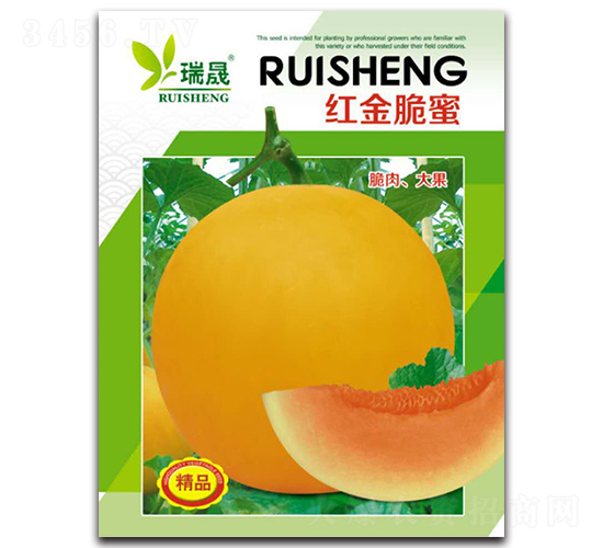 紅金脆蜜-甜瓜種子-瑞晟