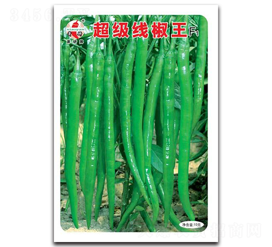 ����������F1-�����N��-ʒ�зN�I(y��)