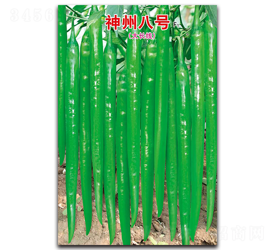 ���ݰ�̖(h��o)F1-�����N��-ʒ�зN�I(y��)