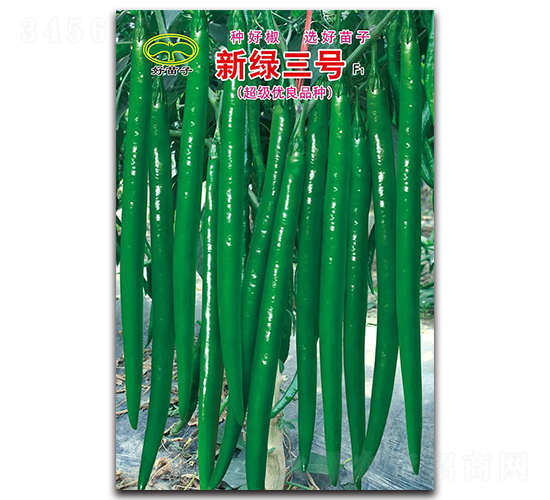 新綠三號(hào)F1-線(xiàn)椒種子-蕭研種業(yè)