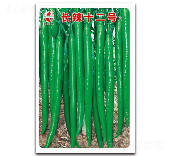 長(zhǎng)辣十二號(hào)-線椒種子-蕭研種業(yè)