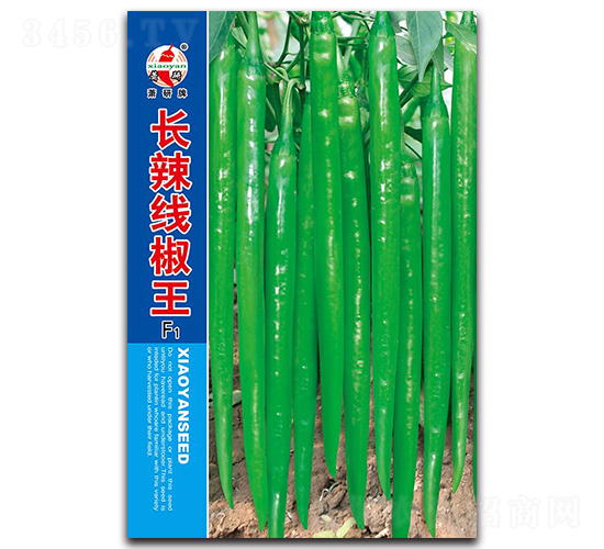 �L(zh��ng)��������-�����N��-ʒ�зN�I(y��)